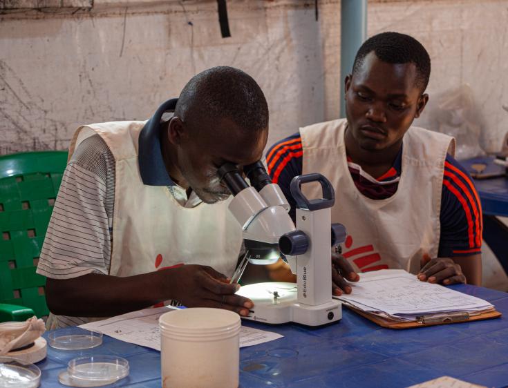 Examinación de los mosquitos en Nduta, Tanzania. 