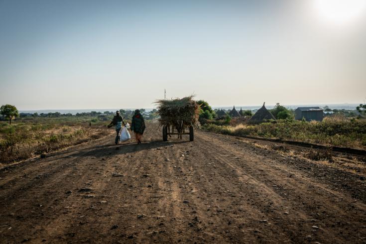 Las vastas tierras agrícolas del norte de Amhara, Etiopía.